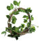 Vignes de Reptiles, Branche d'escalade de Reptiles, Vignes de Jungle Réalistes et Flexibles, Décoration D'habitat pour Animaux de Compagnie pour Lézards, Grenouilles, (Rotin +