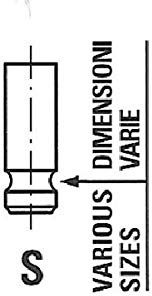 FRECCIA R6566/SNT Einlaßventil