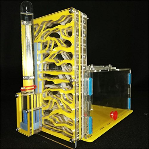 ANT GRAPE T Design Bricolage avec Aire de nid pour Fourmis, fourmilière Acrylique, Fourmis Insectes, Villa Mania pour Animaux domestiques pour Fourmis domestiques (Yellow)