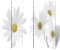 5 Teilig Paravent Raumteiler Faltbarer Sichtschutz Raumtrenner aus Holz, Beidseitig Trennwand Room Divider Bedruckte Blume Doppelseitig 200 x 170 cm