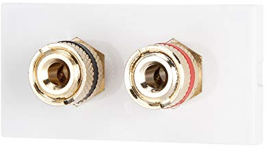 iSynq Single Channel Speaker Module 25mm x 50mm - Red & Black, Gold Plated Binding Post Connectors - Accepts Banana Plugs & Speaker Cable