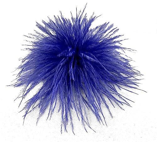 Broche Plume d'Autruche, Asudaro Broche Plume Vintage Femme Plume Accessoire De Chapeau Dames Plume Broche Vêtements Accessoires Costumes Fascinators Pour Halloween Mariage,D:13cm-16cm