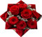 HEKU 100 Servietten, 3-lagig, 33x33cm, Rote Rosen I Saugstark und praktisch verpackt I Breite Auswahl I Ideal für besondere Anlässe