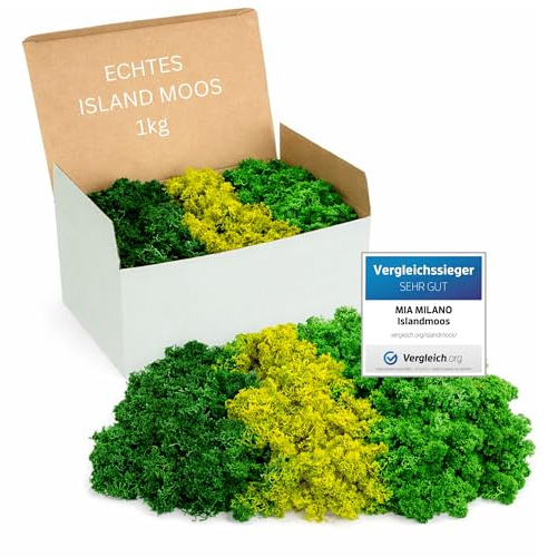 Mia Milano Islandmoos Grün Mix konserviert | Moos Deko zum Basteln | 1kg Echtes Dekomoos Isländisch für Moosbild | Mooswand lebend