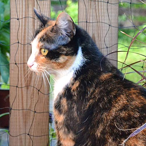 DONET Universalnetz 2 x 10 m Drahtverstärkt, Katzenschutznetz, Vogelschutznetz, Maschenweite 30 mm