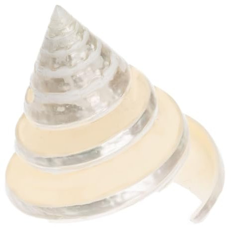 NaDeco Trochus-Spirale, Größe ca. 5cm | Trochus Pyramis | Trochus-Skelett | Poliertes Schneckenhaus | Große weiße Deko-Schnecke | Deko-Schneckenhaus | Maritime Dekoration |Muscheln und Schnecken