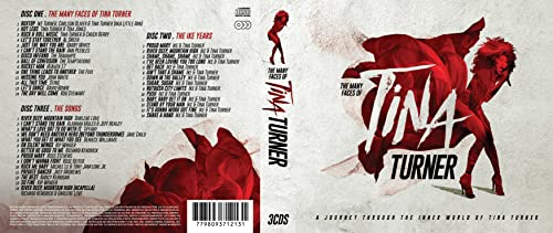 Many Faces of Tina Turner