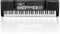 Multifunktions Digital Piano 61-Tasten-Tastatur Klavier Kinder Keyboard E-Piano mit Mikrofon tragbare Tastatur Piano Keyboard Für Jungen und Mädchen