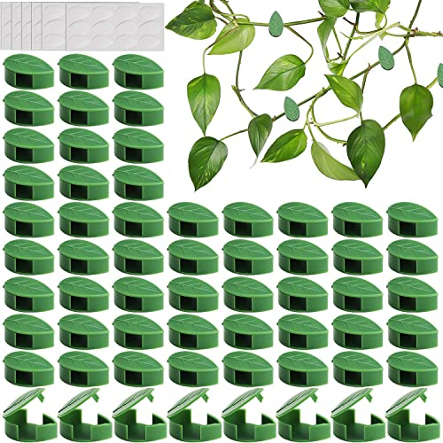 Prmape 60 Stück Pflanzenclips für Kletterpflanzen, Plant Climbing Wall Clips, Plant Clips, Pflanzenhalter Pflanzenclips für Gardening Plant Support Climbing Wall Gemüse