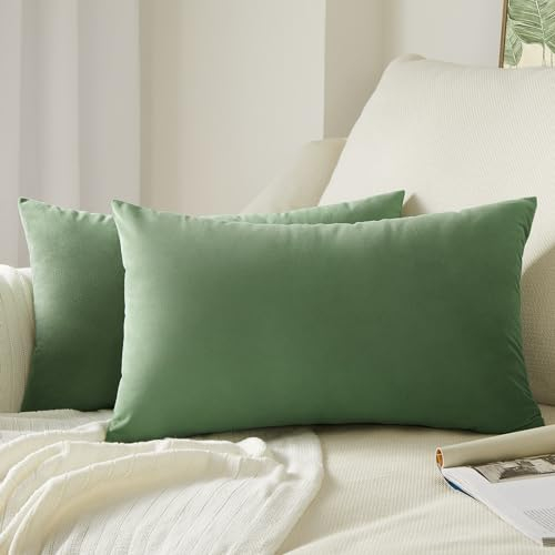 Topfinel Kissenbezug 60x40 cm grün 2er Set Samt Kissenbezüge Kissenhülle Sofakissen Dekokissen Couchkissen Zierkissen Nackenkissen Deko für Sofa Bett Wohnzimmer Schlafzimmer