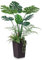 VeriNatural Künstliche Monstera Kunstpflanze 120cm-Große Kunstbaum mit Brauner Tapered Topf, Deko Pflanzen für Badezimmer, Büro, Balkon-Kunstpflanzen wie echt,UV-beständig,für Innen&Außen,VN150