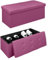 Pouf Contenitore Cassapanca Con Scarpiera Interna Salvaspazio Portaoggetti Porta Scarpe Panca Sgabello A Pie Di Letto Rettangolare Poggiapiedi Panchina - Ciclamino - Rettangolare