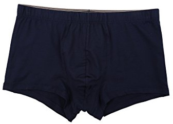 Hanro Herren Cotton Superior Panty