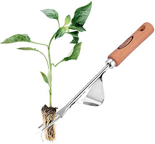 ECENCE Couteau désherbeur en Acier INOX, sarcleur Classique avec Manche en Bois, désherbeur Manuel pour Creuser, sarcler, détacher, Cadeaux pour jardiniers et jardinières.