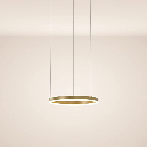 s.luce Ring Hängeleuchte Direkt Ringlampe Ringleuchte Hängelampe Pendellampe Pendelleuchte, Farbe:Gold, Größe:40cm, Abhängung:500cm