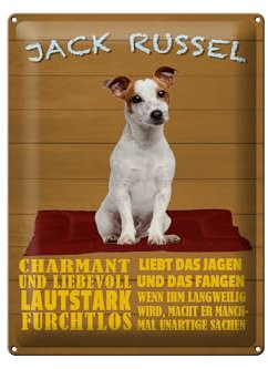 FEMER Blechschild Spruch 30x40 cm Jack Russel Hund charmant Metall Deko Schild