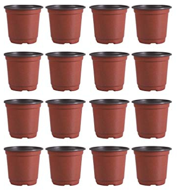 DOITOOL 30 Piezas Macetas de plástico de 15 cm para Plantas pequeña macetas de vivero de plástico para Plantas de Semillas Macetas para Flores y Plantas (Diámetro 150mm)