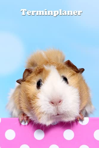 Terminplaner: Meerschweinchen - Kalender - Wochenplaner - Jahresplaner - 1 Woche je Doppelseite (immerwährende Terminplaner, auch für 2023)