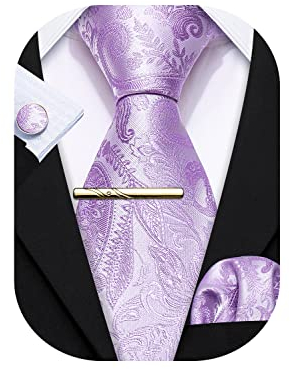 Barry.Wang Herren Krawatte Einfarbig Paisley Uni Schlips Satin Mit Einstecktuch Hochzeit Krawattenset