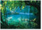 Papel Pintado Bosque Paisaje Lago Naturaleza Salón Dormitorio - Incluye Pegamento - Fotomurales Pared Tejido No Tejido Decorativos Murales Fotográfico Moderno Decoración de Paredes (416x254 cm)