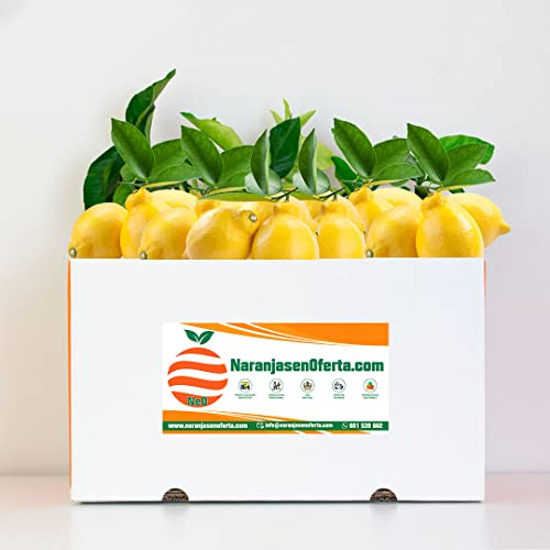 LIMONES DE VALENCIA. CAJA 5KG