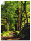 ARTLAND Wanddeko Poster & Kunstdrucke Wandposter 90x120 cm Wald Landschaft Natur Frühling Sonne Bäume Landhaus T1UC