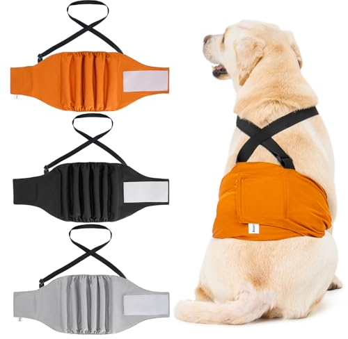 Avont 3 waschbare Windeln für Hunde, wiederverwendbar, für männliche Hunde, Schutz, Komfort Nappy in physiologischen Perioden, bei Hitze, Inkontinenz, S (Träger)