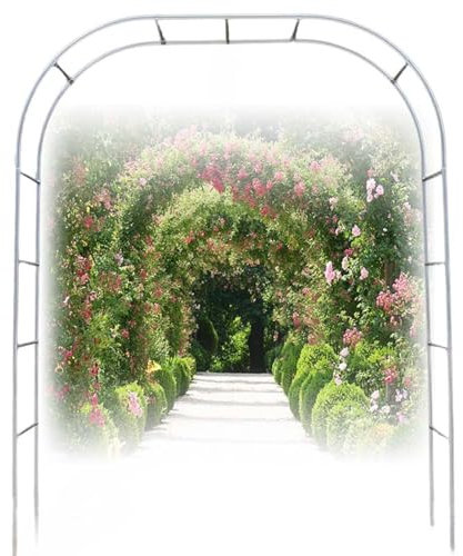 Stainless Steel Garden Arch, Garden Outdoor Entrance Arch-Sun Protection/Rust Prevention, Wide 120cm 150cm 180cm 200cm 220cm 240cm 300cm, for Outdoor, Garden, Patio Trellis(19mm,W 2.2M x H 2.4 M)