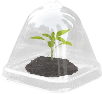 Nexusectar Abdeckung für Töpfe und Samen | Transparente Kuppel zum Schutz von Pflanzen | Thermodeckel 10 x Isolierung zur Kontrolle der Feuchtigkeit von Töpfen und Pflanzen wasserdicht