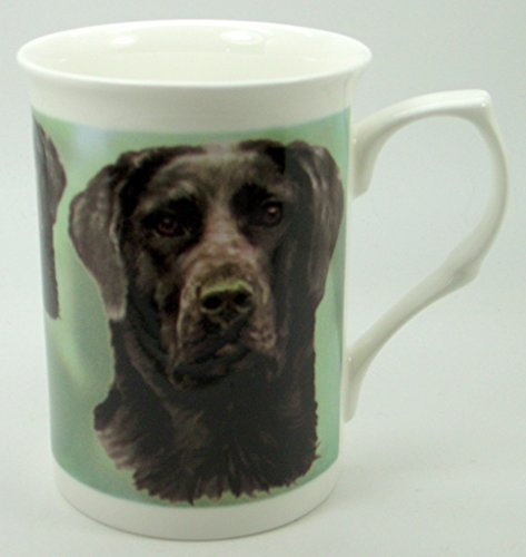 The Plate Collectors Shop Black Labrador FINE Bone China 10 0Z Mug ~ Hand Decorated in Stoke ON Trent
