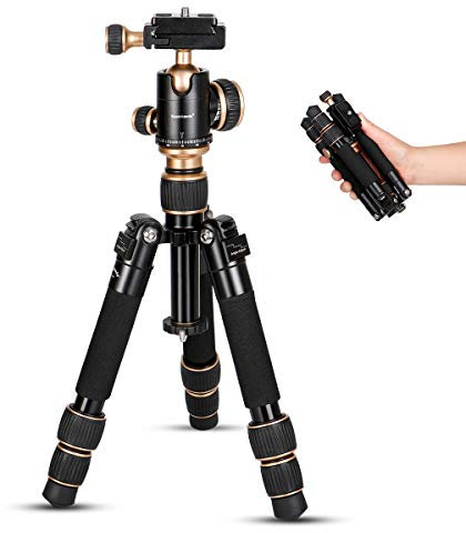 Koolehaoda Travel Portátil Mini trípode Escritorio Macro Mini trípode Ball Head KQ-155