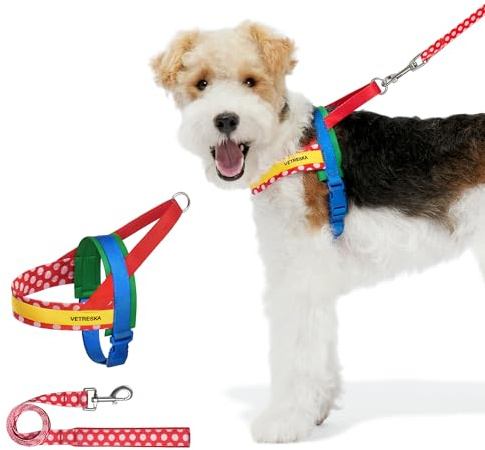 VETRESKA Hundegeschirr für kleine, mittelgroße und große Hunde Kein Ziehen, Welpengeschirr und Leine Set, Easy Walk Hundegeschirr für Gehen, Laufen, Training, kleine Hunde, mittelgroßes