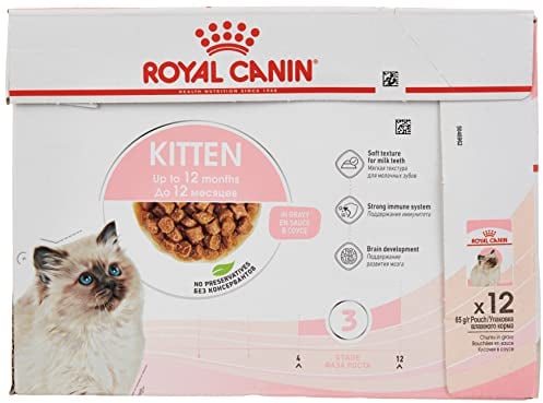 Royal Canin Kitten | 12 x 85 g | Nassfutter für Kitten | Feine Stückchen in Soße | Speziell für Katzenwelpen in der zweiten Wachstumsphase bis zum 12. Monat