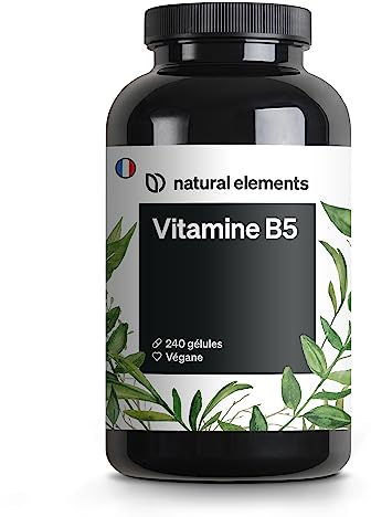 Vitamin B5 – 240 Kapseln - hochdosierte 500 mg Pantothensäure – vegan – in Deutschland produziert & laborgeprüft