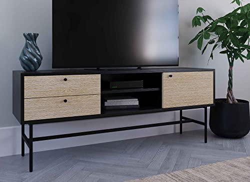 DecoInParis Meuble TV avec 2 tiroirs et 1 Porte en Bois et métal Noir Daryl