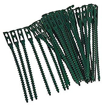 Xclou Attaches réglables pour plantes lot de 40 - Liens de serrage en plastique pour jardin - Serre câbles réutilisables pour plantes vertes et arbustes, Vert