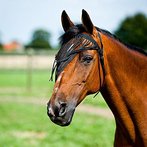 Horze Pferde Fliegenfransen, Insektenschutz für Pferd und Pony, Schwarz, M