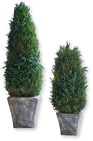 Loberon Zypresse 2er Set Anjette, Zwei Größen, von Hand gefertigt, Topf mit Antik-Finish, Dekoration, Styropor, Terrakotta, grün/grau
