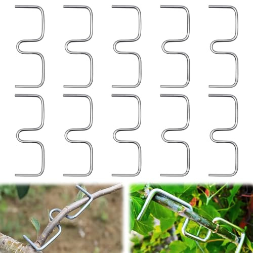 20 Stück Astspreizer für Obstbäume, Astzieher Metall, Metall M Förmiger Astspreizer, Spreizeraststütze für Obstbäume, Astzieher Halter für Obstzweige, Zum Spreizen und Ebnen von Obstbaumzweigen