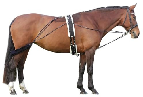 Hy Equestrian Lunging System - Navy/Grey