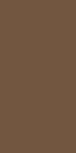 Duni Zelltuch-Servietten Uni chestnut 40x40 cm 3lagig, 1/8 BF 250 St.
