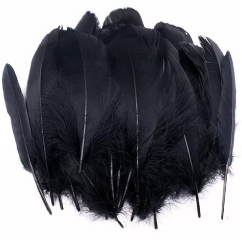pangutheos 250 Stück Federn zum Basteln, 10-20cm, Feder für Traumfänger | Natürliche Federn, Schwarze Bastelfedern, 3 Größen, DIY Handwerk, Halloween, Ostern, Urlaubsparty, Hochzeit Deko