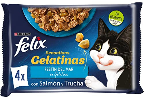 Felix Sensations Nassfutter für ausgewachsene Katzen, Gelee, Sortiment mit Lachs und Forellen, 12 Packungen mit 4 Beuteln à 85 g (48 Umschläge)
