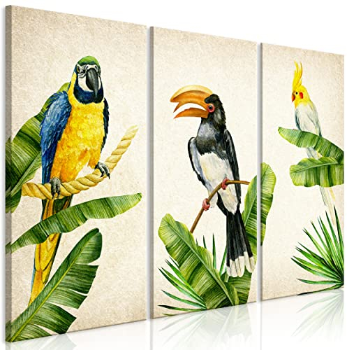 decomonkey Bilder Vogel 135x90 cm 3 Teilig Wandbild Groß Leinwandbild XXL Deko Wohnzimmer Schlafzimmer Büro Wanddeko Leinwand Pictures For Wall Poster Natur Botanik Papagei Blätter beige grün