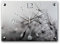 Kreative Feder Designer-Wanduhr aus Stein (Beton) Größe 35x25cm grau mit flüsterleisem Funkuhrwerk - Pusteblume