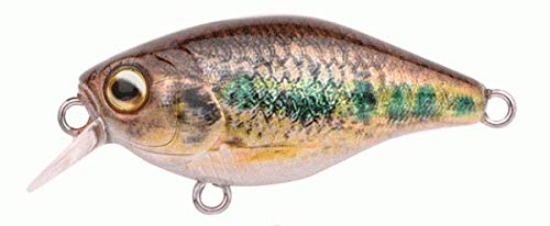 Spro Ikiru Naturals Mini Crank 38 Floating - Short Lip Wobbler