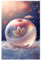 KiKiHong Diamond Painting Erwachsene,Diamant Painting Bilder Blattkristallapfel Diamant Malerei Sets Malen Nach Zahlen Diamant Anfänger Für die Wanddekoration zu Hause, 30 x 40cm