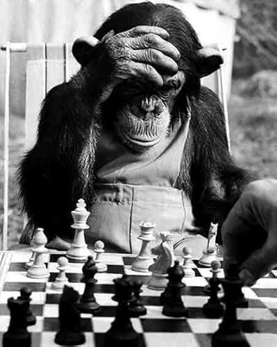 Wooden jigsaw puzzle with 1500 pieces monkey playing chess every piece fit together perfectly