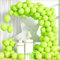 Unisun Palloncini Verde Frutta, 100Pezzi 10Pollici Verde Frutta Opaco Palloncino Ragazzo Uomini Compleanno Proposta Matrimonio Anniversario Laurea Pensionamento Fidanzamento Natale Valentino Decoraz
