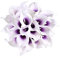 RAILONCH 20 Stücke Calla Kunstblume Deko Künstliche Blumen Kunstpflanze Blumenstrauß für Hochzeit Sträuße Home Hotel Gartendekoration (Lila, Weiß)